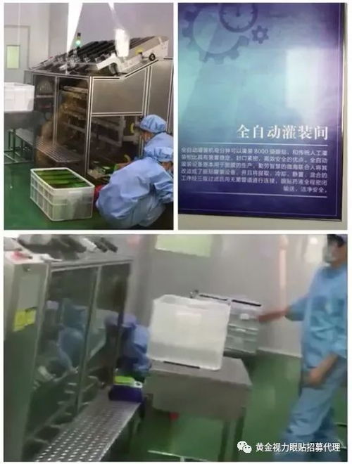 黃金視力眼貼新工廠開放日 代理商參觀見證品質(zhì)升級，國內(nèi)廣告布局引領(lǐng)市場新浪潮